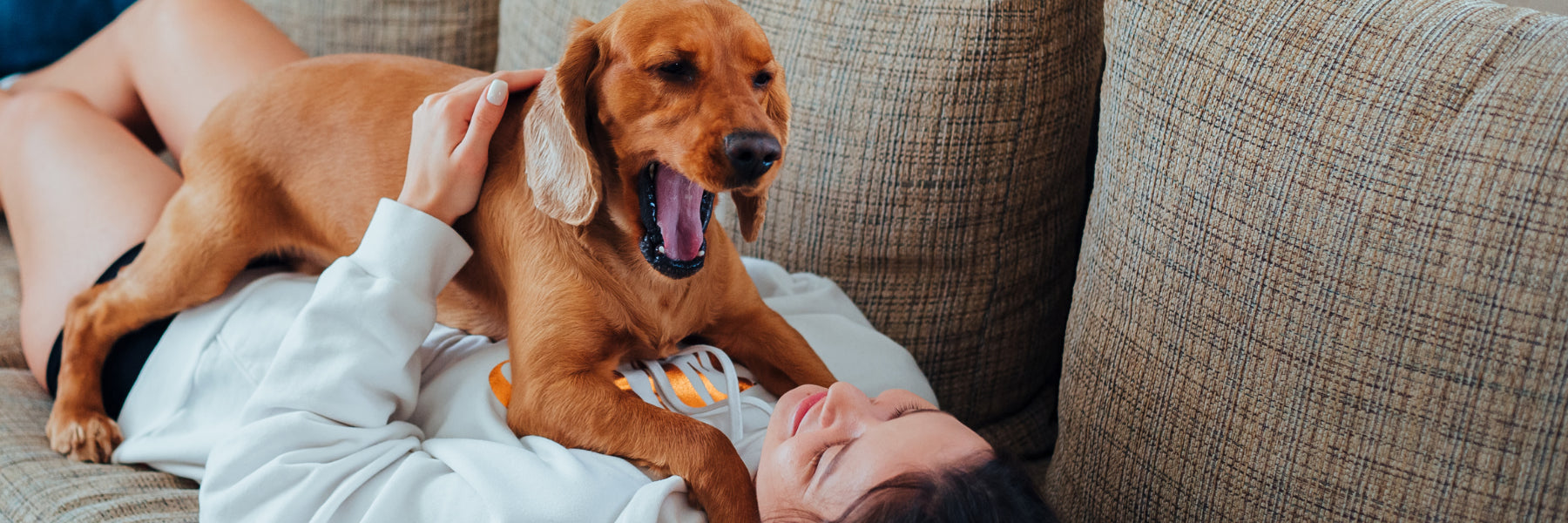 girl sitting with her dog on her chest on the couch, smiling